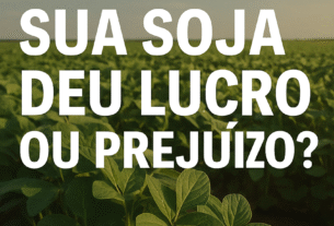 E aí? Sua Soja deu lucro ou prejuízo? Safra 24/25