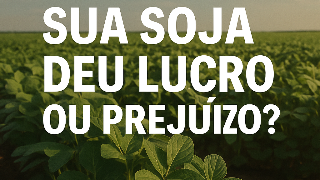 E aí? Sua Soja deu lucro ou prejuízo? Safra 24/25