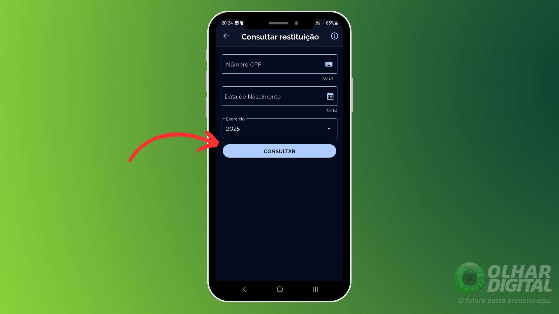 Como consultar a restituição do imposto de renda - Passo 2